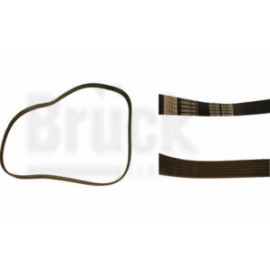 BANDA (93231868)  BANDA ALTERNADOR CHEVY C2 2004-2008-CHEVY PICK UP 2002-2006-MONZA 1994-2000 / MOTOR 1.6 LITROS – SIN AIRE ACO